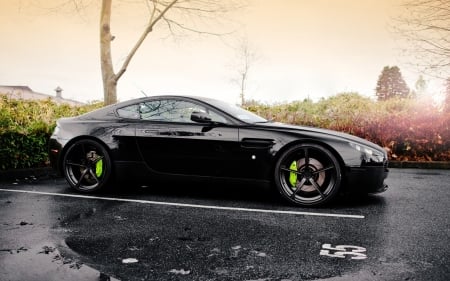 Aston Martin - vehicles, cars, side view, black cars, Aston Martin