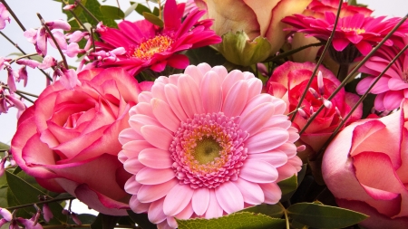 Bouquet of pink flowers - pretty, gerbera, roses, pink, beautiful, bouquet, flowers, spring