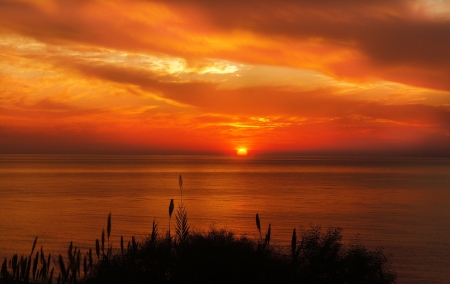 Summer Sunset - beach, sky, ocean, landscape, sun, sunset, summer, nature, dawn, clouds