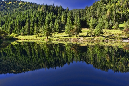 Reflection In Lake - trees, water, forest, reflection, nature, priroda, lake, country, slovakia