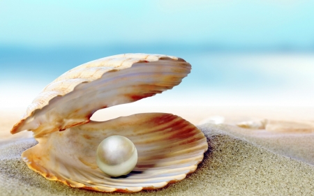 Happy Summer! - seashell, beach, blue, card, summer, sea, pearl