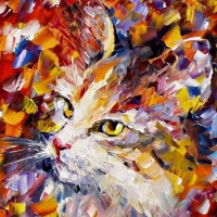 Old cat