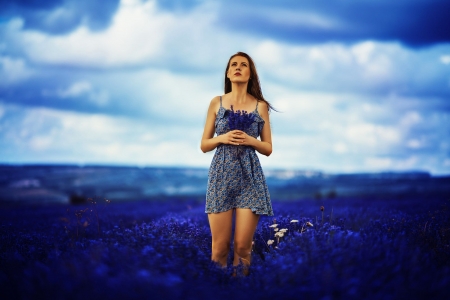 Lovely Girl - woman, field, model, flower