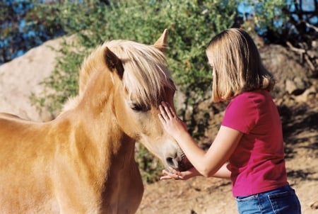 Make A New Friend... - style, girls, women, pony, saddles, models, brunettes, cowgirl, fun, barns, blondes, boots, fashion, horse, western, outdoors, children, female, kids