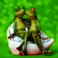 Frogs in LovE â™¥