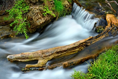 Turbulent Creek - plants, water, rocks, cascade