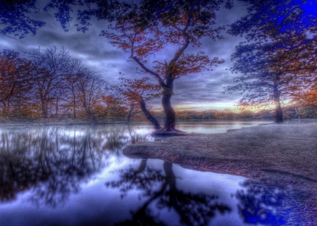 blue lake - lake, trees, sunset, blue