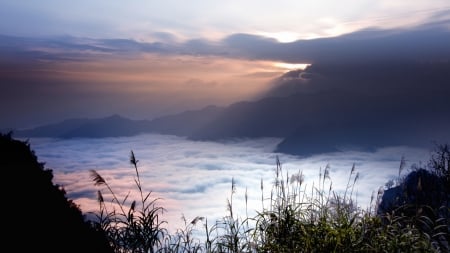 a sea of clouds among mountains in taiwan - clouds, grass, sunset, mountains