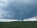 driving from the storm