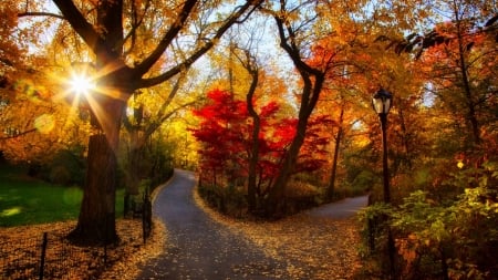 Autumn park - Autumn, Sunrise, Park, Morning