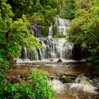 Forest waterfall