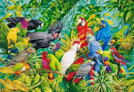 Exotic birds - pretty, parrots, beautiful, colorful, leaves, tree, birds, exotic