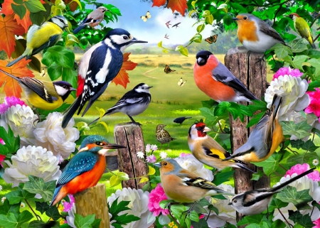 Birds season - season, freshness, trees, gathering, colroful, field, spring, pretty, beautiful, flowers, friends, birds