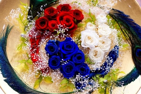 Colorful roses - feather, beautiful, flowers, bouquet, fragrance, roses, peacock, scent, arrangement, colorful