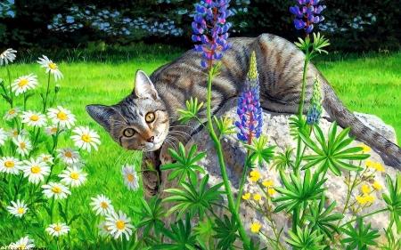 Cute Cat - cat, cute, art, grass