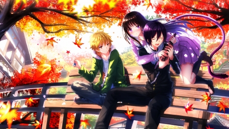 Noragami - Cool Anime, Relaxing, Pretty Girl, Beautiful Autumn, Cute Guy, Cute Boys, Bestfriend, Friends, Noragami, Autumn Anime