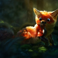 Silly fox