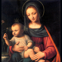 Madonna of the carnation