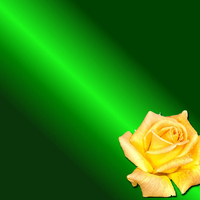 green rose