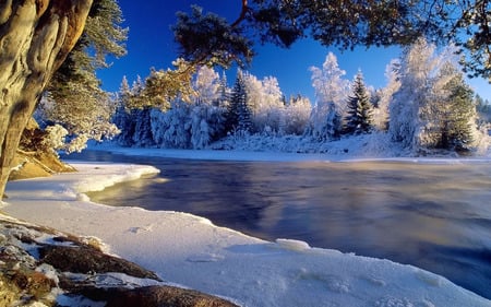 Winter Scene - nature, forest, river, winter, serenity, scene