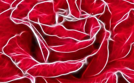 Rose - red, rose, abstract