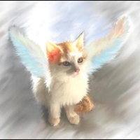 KITTY ANGEL PAINTING