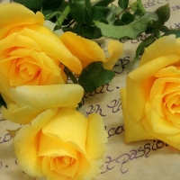 Yellow Roses~Friendship ♥ Joy ♥ Caring