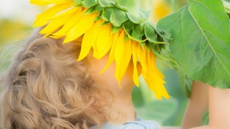 â™¥ - sunflower, nature, child, girl