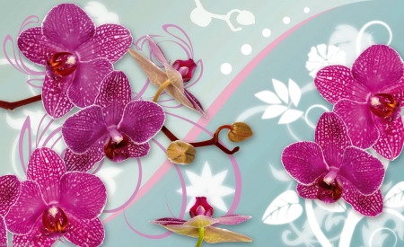 Orchids background