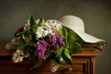 Lilacs - hat, spring, lilacs, freshness, still life, smell, flowers, fresh, white, nature, purple, garden