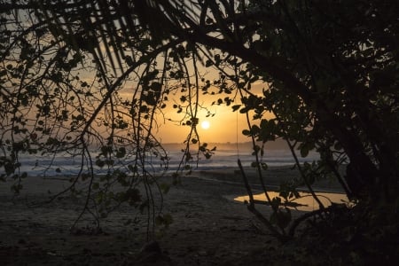 Beach Paradise - palm trees, beach, landscape, paradise, tropical, sunset, coast, waves, nature, seamsky, dawn, sand