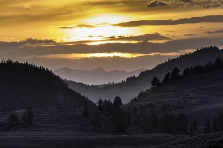 Lamar Valley,USA - trees, hills, evening, landscape, scenic, forest, valley, yellowstone, sunset, nature, twilight, mountains