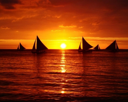 Sunset at  Sea - sailboats, silhouettes, sea, sun