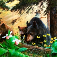 Family Bear