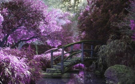 Lavender Blossoms - trees, blossoms, water, lavender, pond, rock, wooden bridge, logs, purple, Spring, plants, bridge