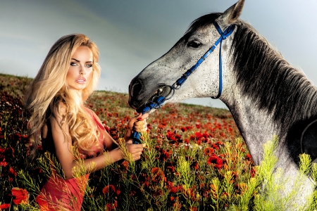 Beautiful View..... - women, fun, female, boots, fashion, saddles, models, western, barns, flowers, girls, cowgirl, style, fantasy, horses, blondes