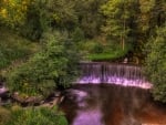 Amazing forest waterfall