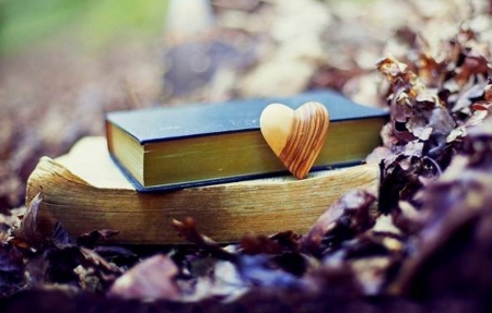 Heart - love, heart, book, beautiful