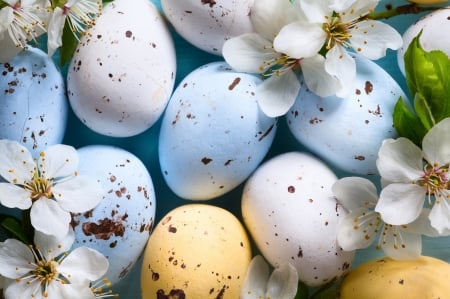 Happy Easter! - flower, spring, egg, yellow, blue, easter, white, card, texture