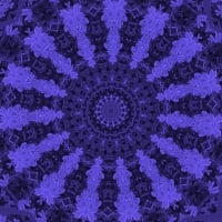 Veracious Blue-Violet