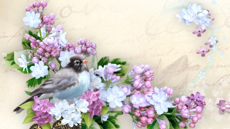 Love of Lilacs - frangipani, soft, bird, lilacs, fragrant, vintage, paper, springt, firefox persona theme