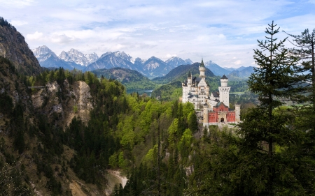 Neuschwanstein Castle, Germany - medieval, forest, castle, germany