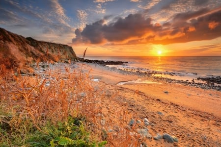 Sir Richards cove at sunrise - cove, summer, coast, amazing, beach, sunrise, shore, sky, sun, beautiful, sea, ocean, wildflowers, rais, fiery, sands, glo