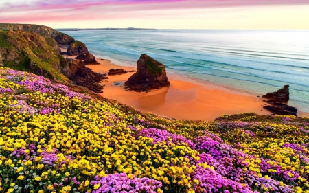 Beautiful coastal view - coast, beach, beautiful, sea, ocean, lovely, wildflowers, shore, view, sky, rocks