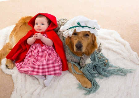 Little Red Riding Hood and the Bad Wolf - hat, girl, dog, creative, copil, baby, child, animal, glasses, funny, red riding hood, cute, situation, caine, labrador