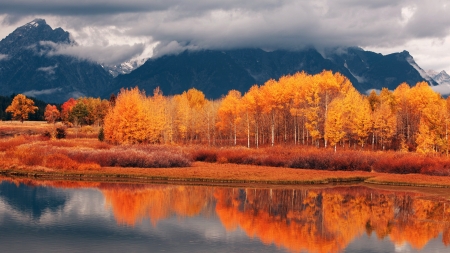 Golden Forest - sky, lake, trees, reflection