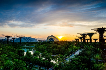 Gardens by the Bay, Singapore - sky, trees, clouds, sunset, plants, buildings