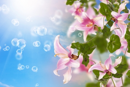 Flowers and bubbles - blue, green, bubbles, flower, pink, luminos