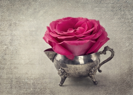 Pink rose - paper, flower, silver, rose, pink, cup