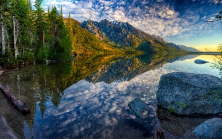 Splendid View - tree, nature, mountain, river